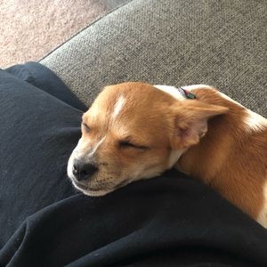 Meet your Posher, Kindall